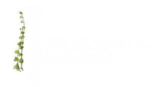 L'Accolade-3.png